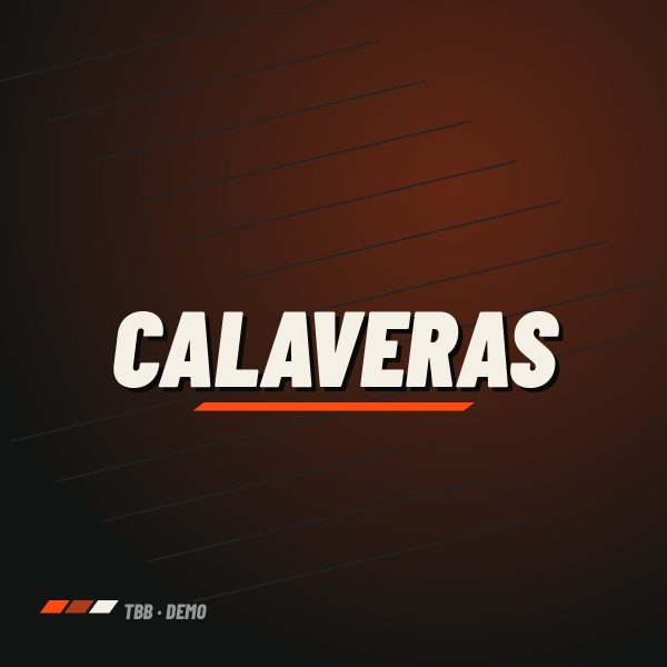 Calaveras ahumadas LED