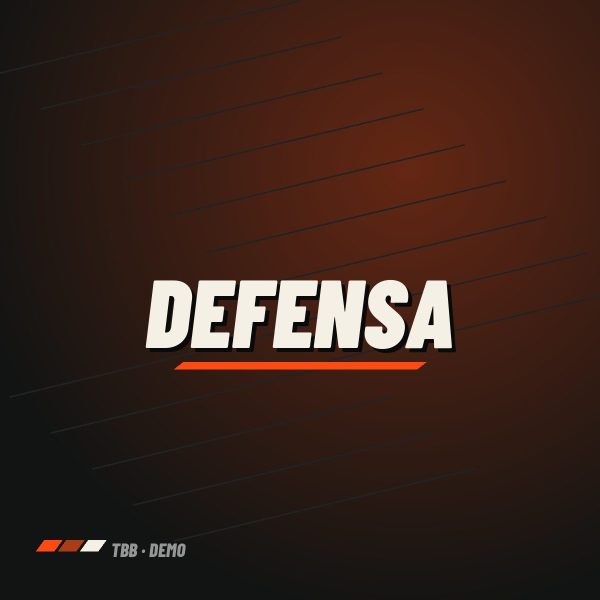 Defensa off-road con winch plate